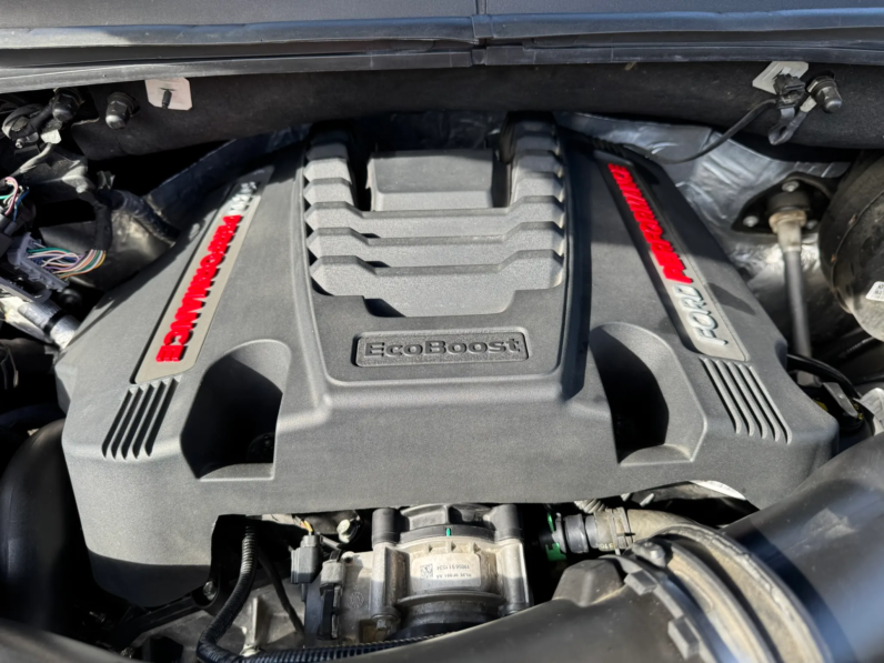 2019 Ford F-150 Raptor SuperCrew full