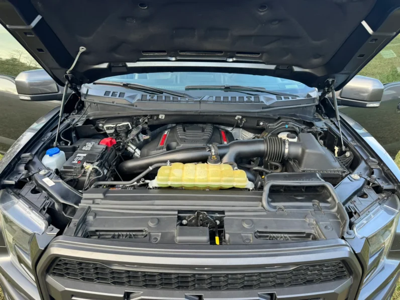 2019 Ford F-150 Raptor SuperCrew full