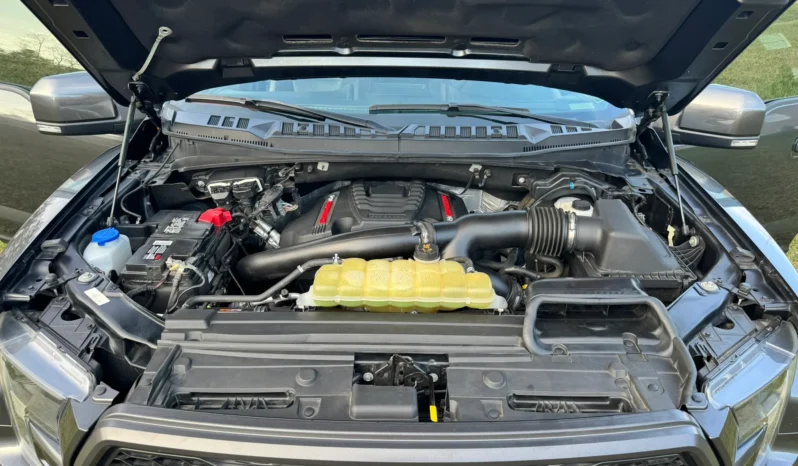 2019 Ford F-150 Raptor SuperCrew full