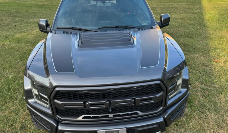 2019 Ford F-150 Raptor SuperCrew full