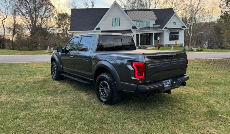 2019 Ford F-150 Raptor SuperCrew full