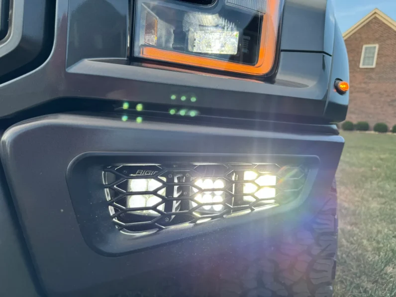 2019 Ford F-150 Raptor SuperCrew full